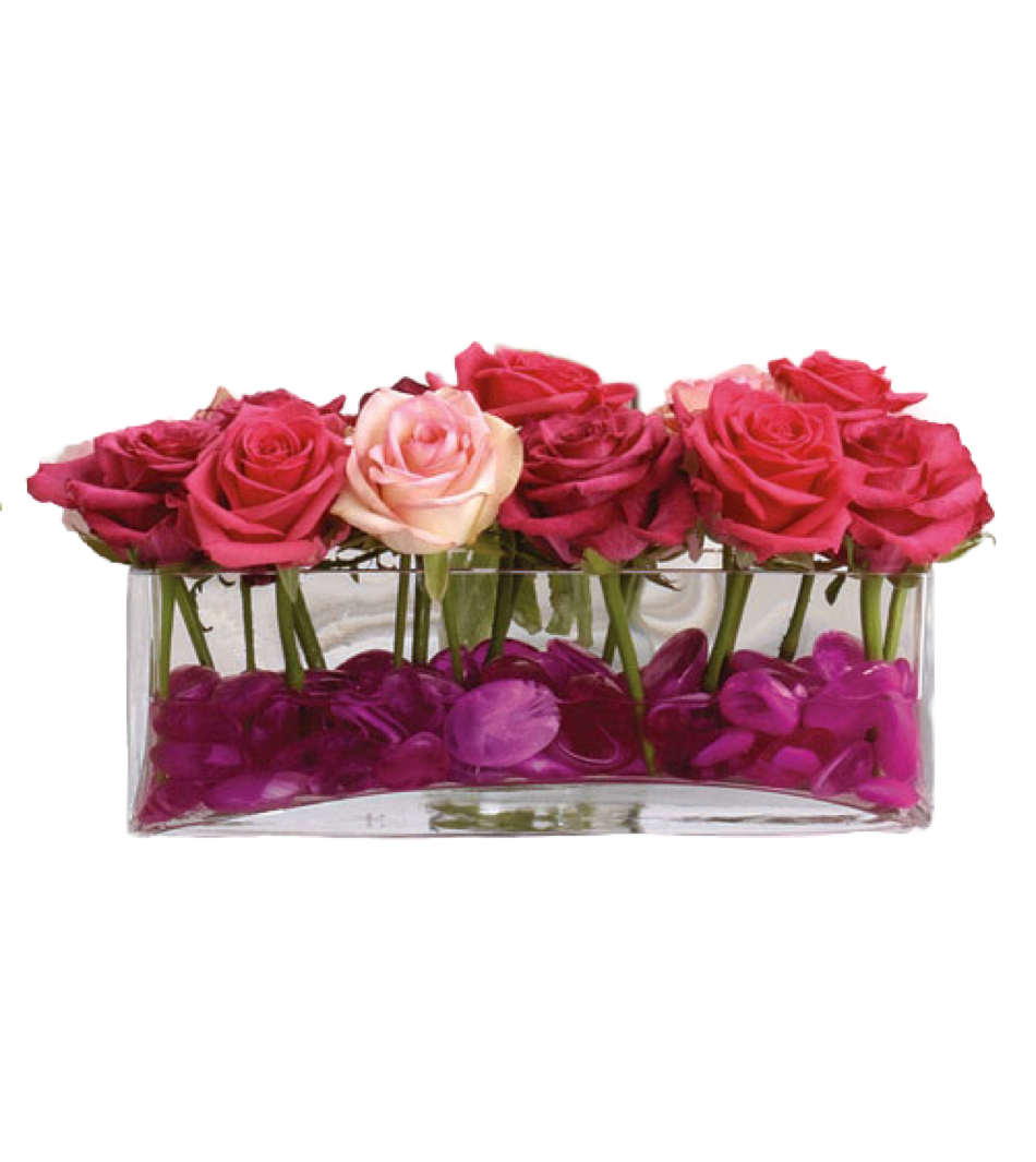 Dash of Roses