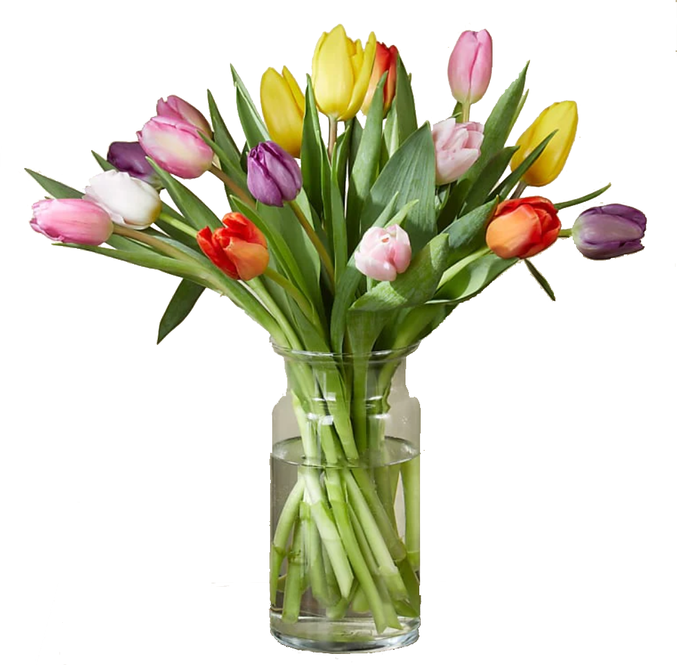 Tulip Mix Bouquet