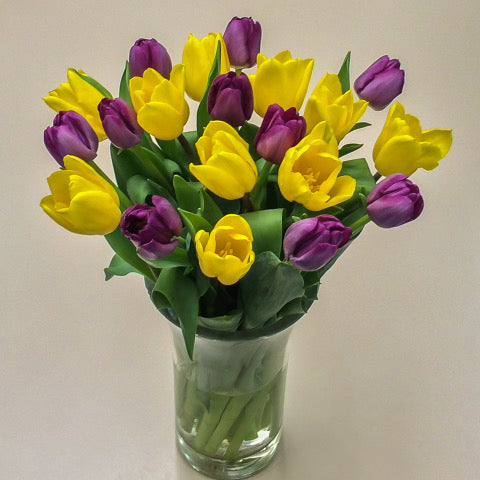 Purple and Gold Tulip Mix Bouquet